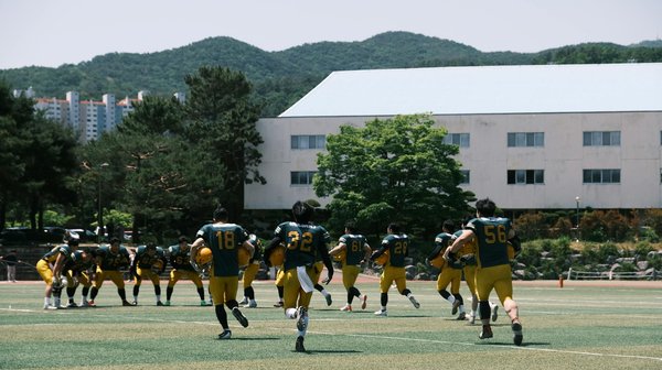 Uncover the magic of pokémon mystery boxes today!