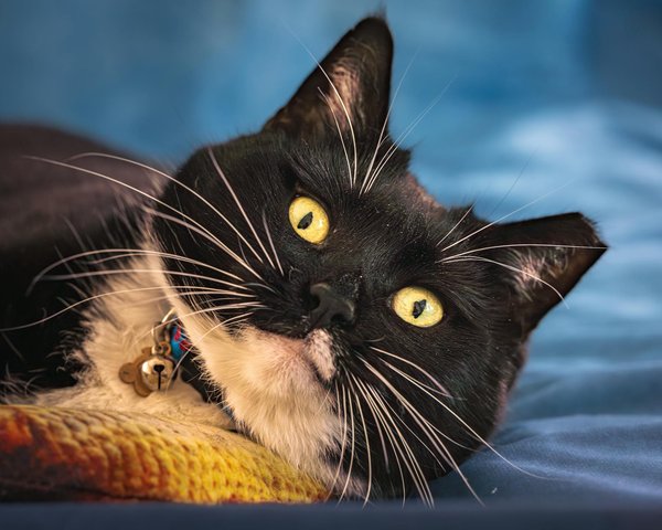 Unlock surprises: why epical mystery boxes are a must-try