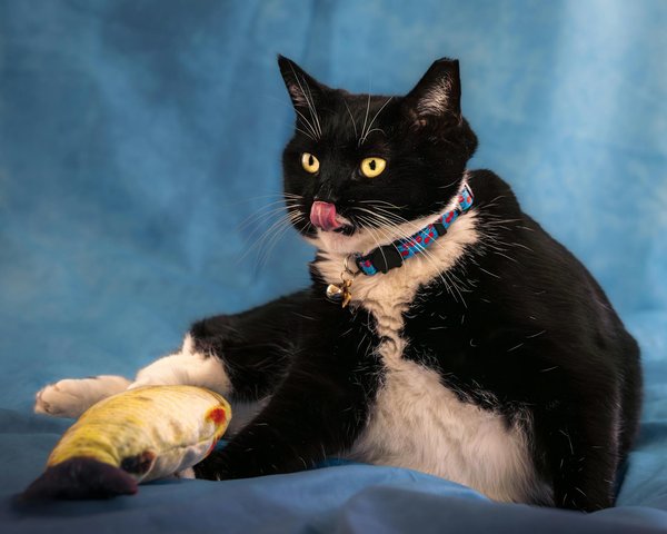 Unlock your curiosity: the magic of mystery boxes